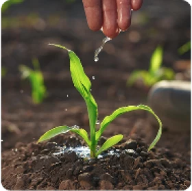 Gadżety dla turystyki