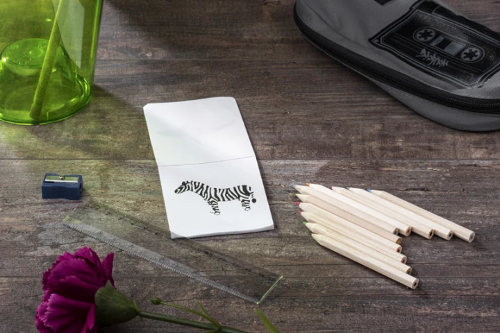 Kredki z kolorowanką DECOR 