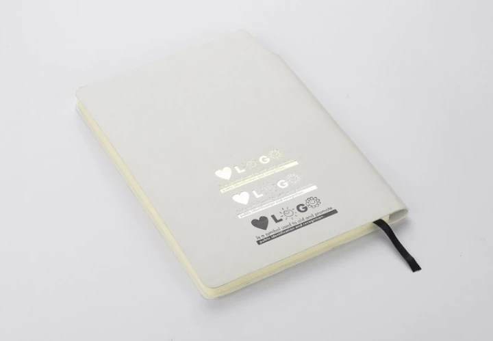 Notes MOLI A5 (17678-01)