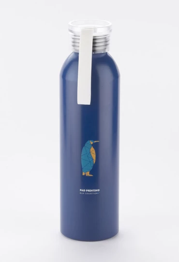 Butelka aluminiowa ALLUMI 650 ml 