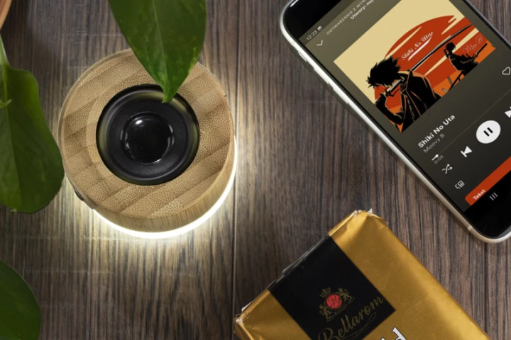 Głośnik bezprzewodowy RORAT 