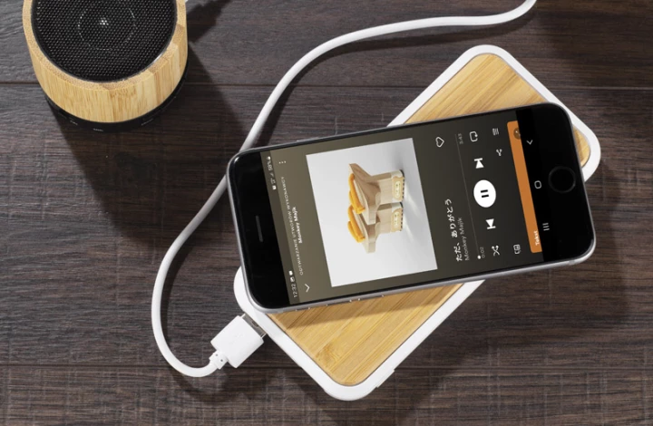 Power bank RONI 10000 mAh 