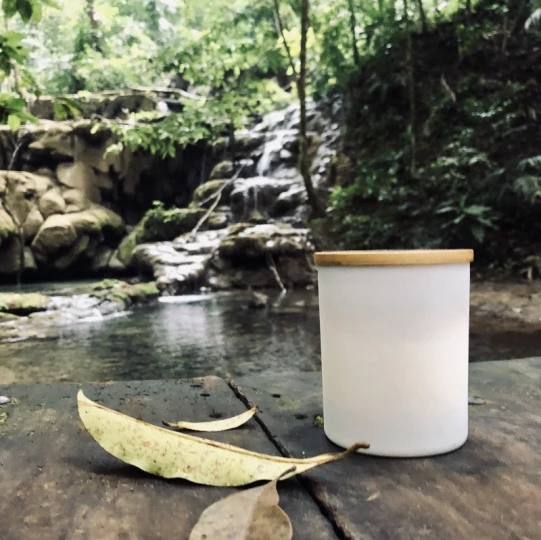 Świeca sojowa 220g - Library - VERA YOUNG 