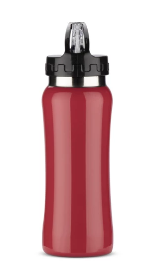 Bidon stalowy PATRO 600 ml 