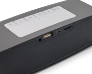 Głośnik bezprzewodowy AMBIENT 